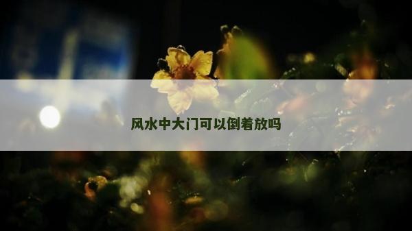 风水中大门可以倒着放吗