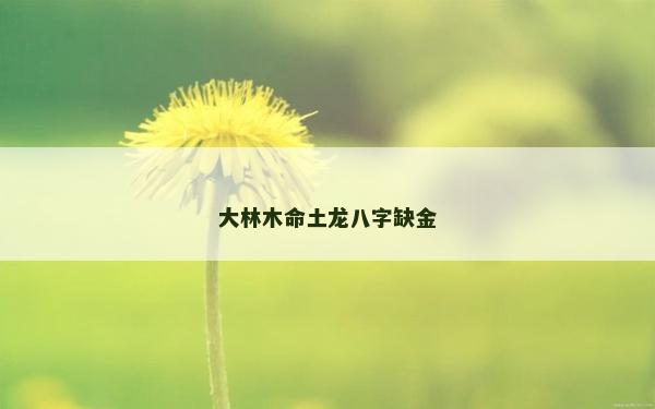 大林木命土龙八字缺金