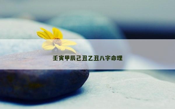 壬寅甲辰己丑乙丑八字命理
