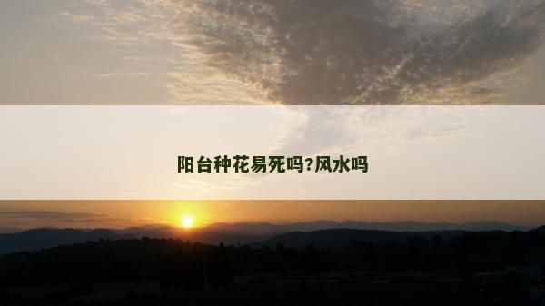 阳台种花易死吗?风水吗
