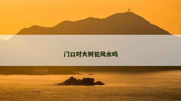 门口对大树犯风水吗