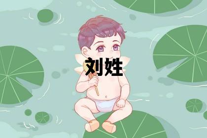 刘姓洋气的男孩名字