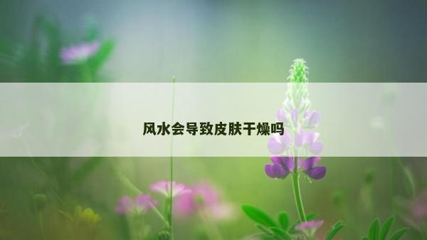 风水会导致皮肤干燥吗