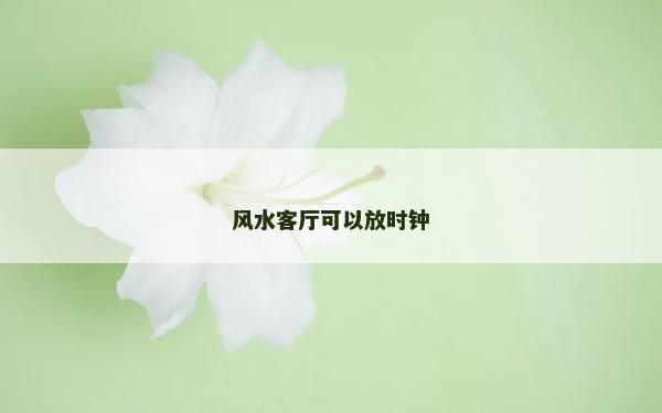 风水客厅可以放时钟