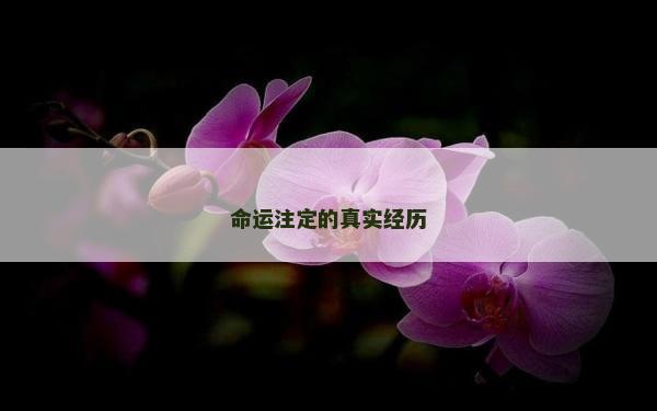 命运注定的真实经历