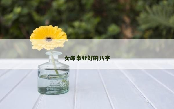 女命事业好的八字