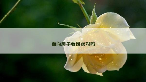 面向房子看风水对吗
