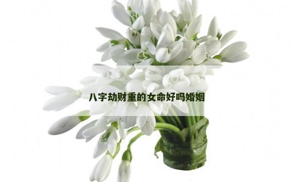 八字劫财重的女命好吗婚姻