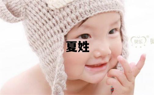 夏姓有涵养的男孩名字