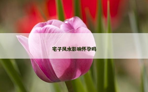 宅子风水影响怀孕吗