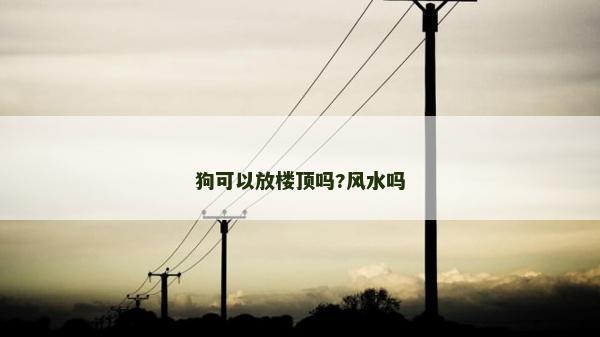 狗可以放楼顶吗?风水吗