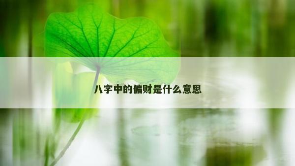 八字中的偏财是什么意思