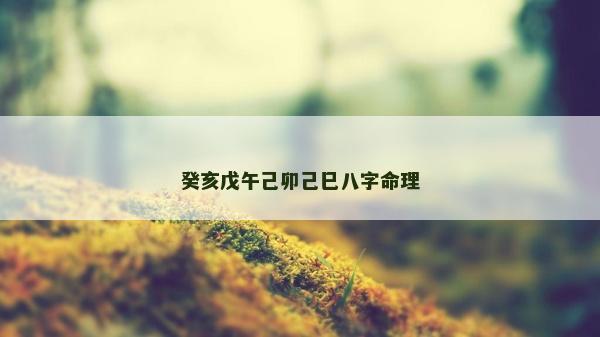 癸亥戊午己卯己巳八字命理