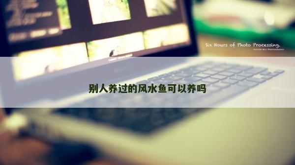 别人养过的风水鱼可以养吗