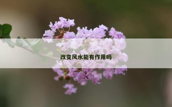 改变风水能有作用吗
