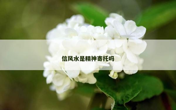 信风水是精神寄托吗