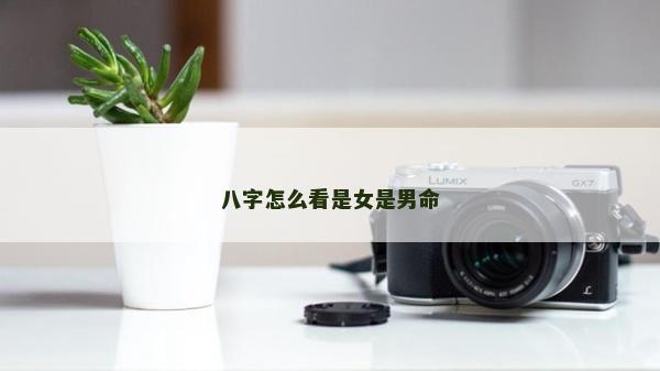 八字怎么看是女是男命