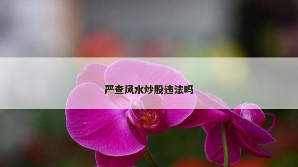 严查风水炒股违法吗
