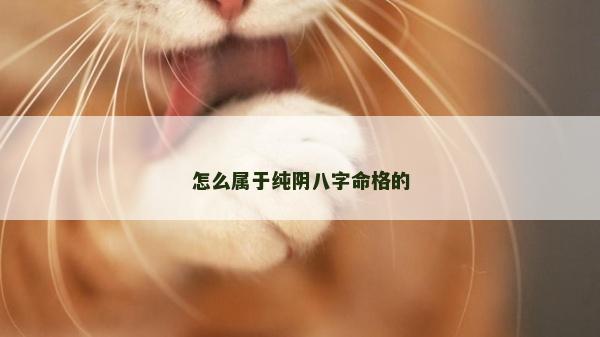 怎么属于纯阴八字命格的