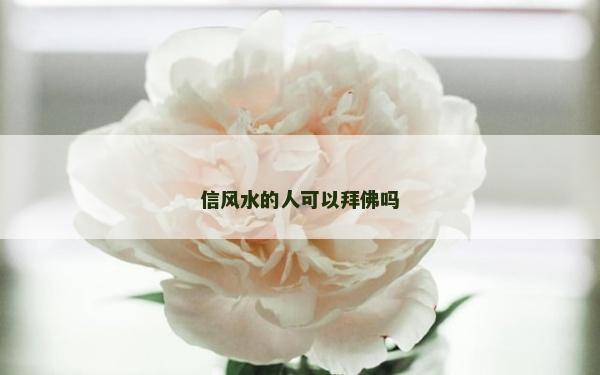 信风水的人可以拜佛吗