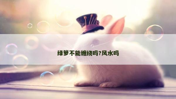 绿箩不能缠绕吗?风水吗