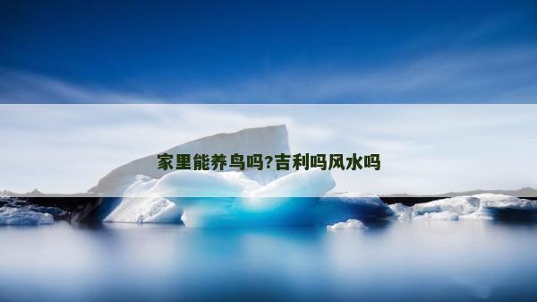 家里能养鸟吗?吉利吗风水吗