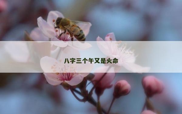 八字三个午又是火命