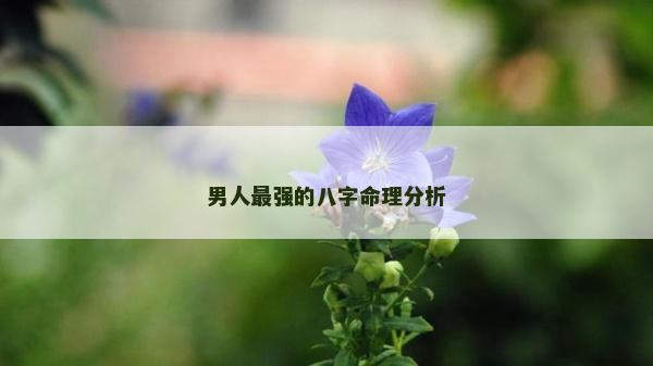 男人最强的八字命理分析