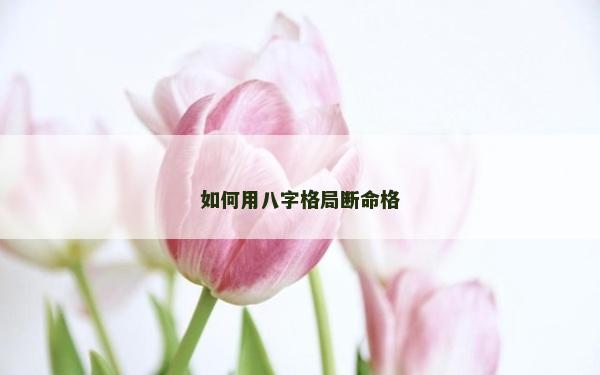 如何用八字格局断命格