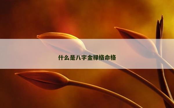 什么是八字金禄格命格