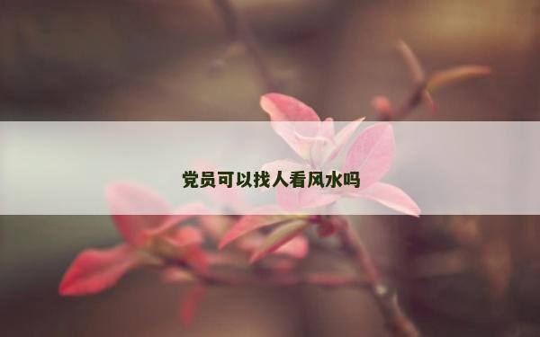 党员可以找人看风水吗