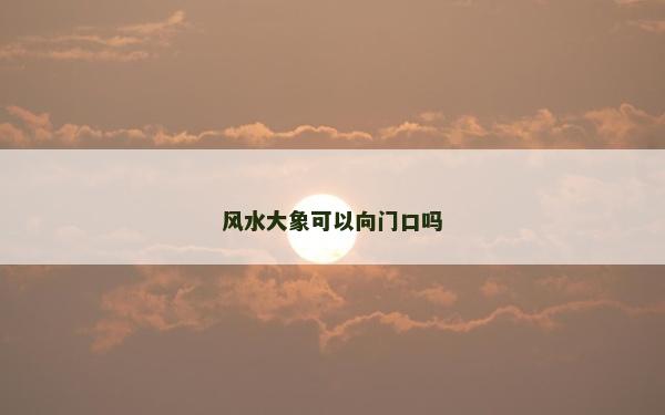风水大象可以向门口吗