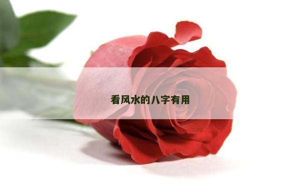 看风水的八字有用