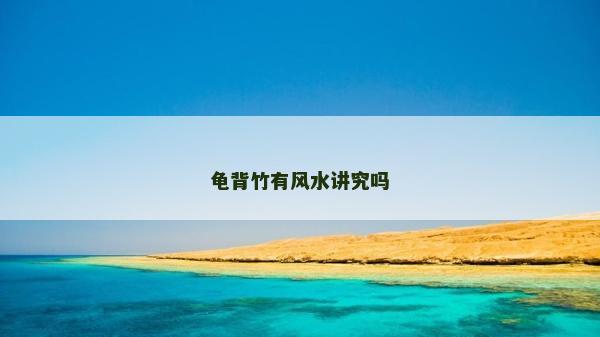 龟背竹有风水讲究吗