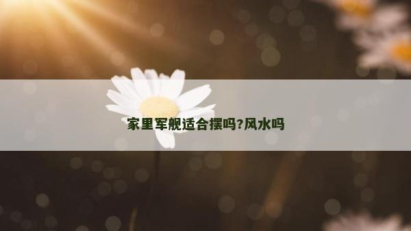 家里军舰适合摆吗?风水吗