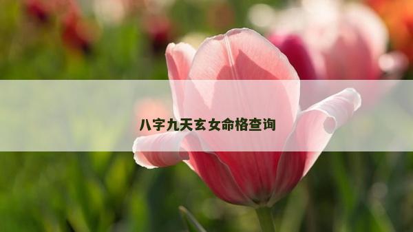 八字九天玄女命格查询