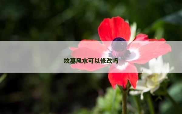 坟墓风水可以修改吗