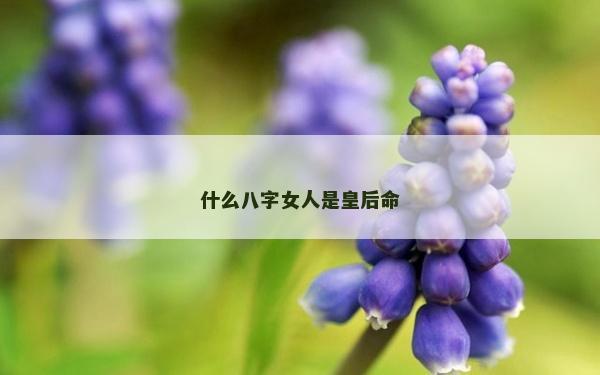 什么八字女人是皇后命