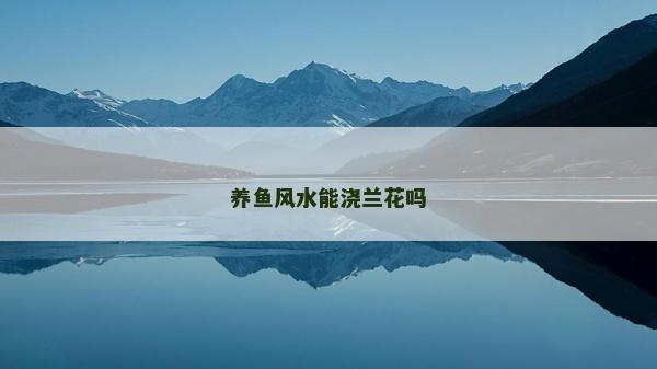 养鱼风水能浇兰花吗