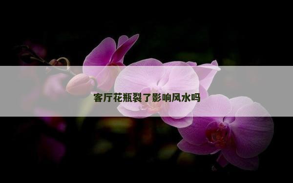 客厅花瓶裂了影响风水吗