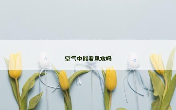空气中能看风水吗