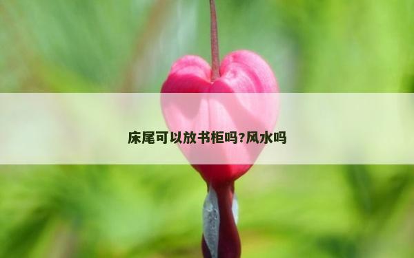 床尾可以放书柜吗?风水吗