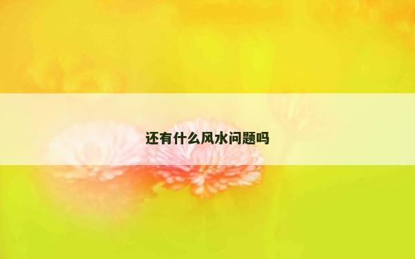 还有什么风水问题吗