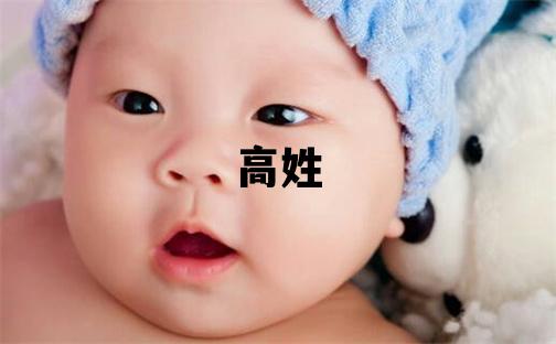 高姓大气文雅的男宝宝名字