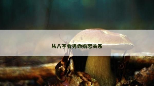 从八字看男命婚恋关系