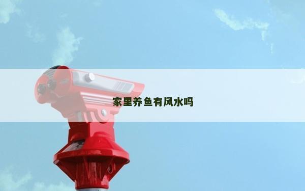 家里养鱼有风水吗