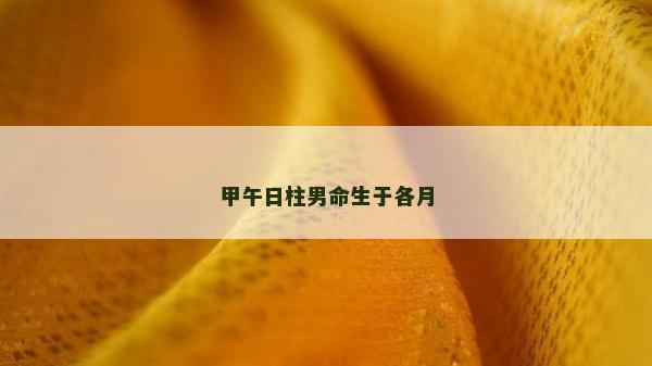 甲午日柱男命生于各月