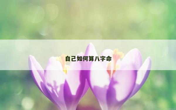 自己如何算八字命