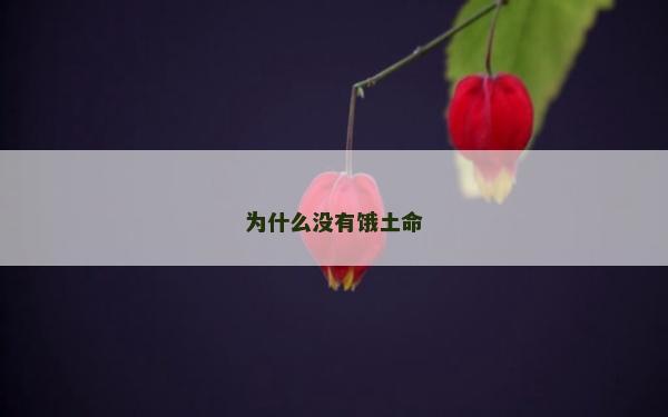 为什么没有饿土命