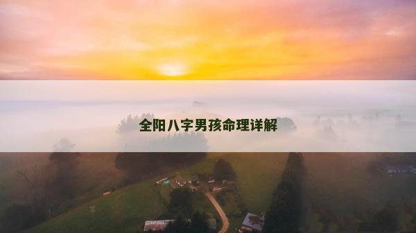全阳八字男孩命理详解